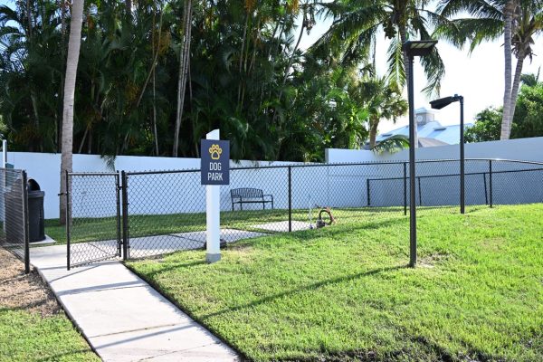 773862205-dsc_0907 Large